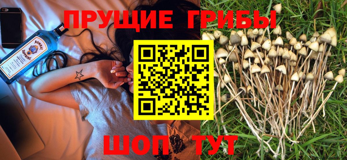 Псилоцибиновые грибы ЛСД Пыть-Ях