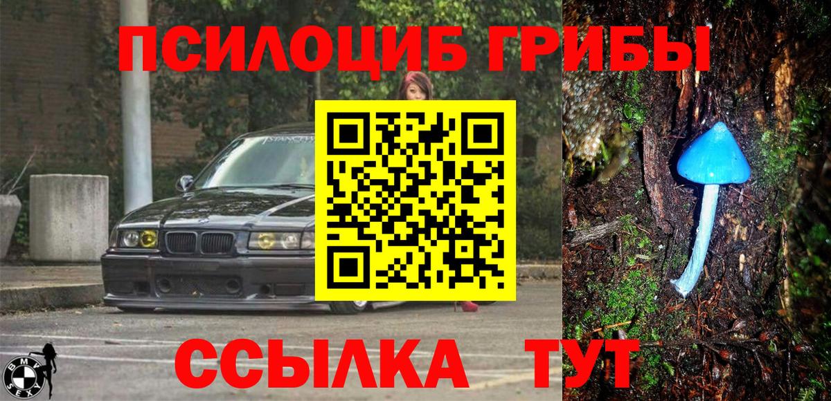 Псилоцибиновые грибы мицелий  Псилоцибиновые грибы Cubensis  Пыть-Ях  Вход с VPN 
